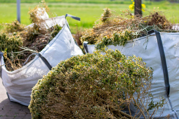 Best Electronics and E-Waste Disposal  in Johnson City, KS